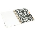 5032608195234-zebra-03