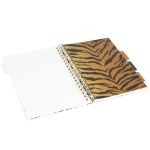 5032608195234-zebra-04