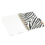 5032608195234-zebra-05