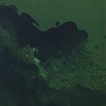 5905658813598-05