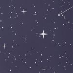 PADS007-5905658813697-06