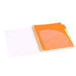 PADS012-5905658813819-03