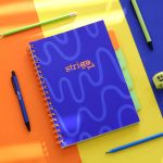 PADS012-5905658813819-10