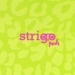 PADS013-5905658813826-08