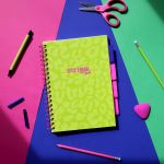 PADS013-5905658813826-10