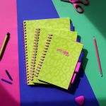 PADS013-5905658813826-11