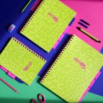 PADS013-5905658813826-12