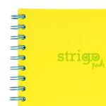 PADS017-5905658813901-08