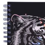 PADS020-5905658813970-07