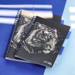 PADS024-5905658814069-10