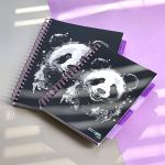 PADS025-5905658814076-09