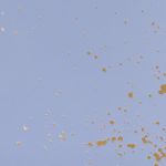 PADS028-5905658814151-07