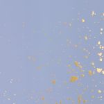 PADS031-5905658841713-07