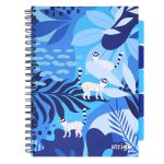 PADS035-5905658841829-01