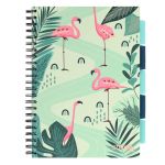 PADS036-5905658841836-01