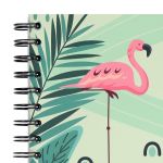 PADS036-5905658841836-08