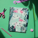 PADS036-5905658841836-09