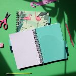 PADS036-5905658841836-11