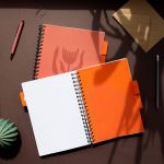 PADS046-5905658842079-10