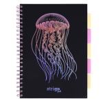 PADS049-5905658842147-01