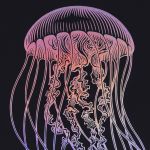 PADS049-5905658842147-08