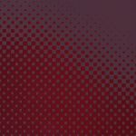 PADS056-5905658842291-07