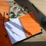 PADS065-5905658842505-11