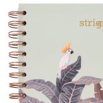 PADS069-5905658842628-07