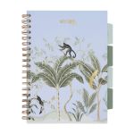 PADS071-5905658842642-01