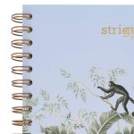 PADS071-5905658842642-07