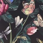 PADS077-5905658826833-07