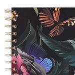 PADS077-5905658826833-08