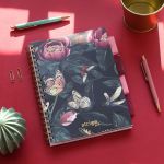 PADS080-5905658826901-11