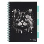 PADS091-5905658827175-01