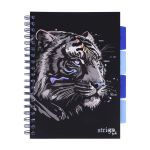 PADS096-5905658827274-01