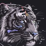 PADS096-5905658827274-08