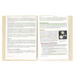 Sf082-5905658854898-05