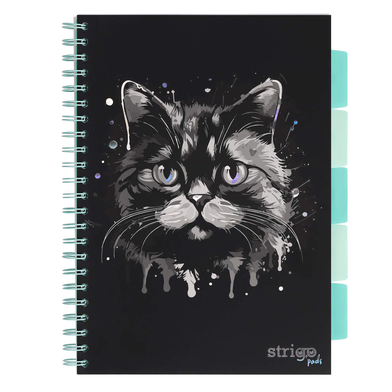 PADS019-5905658813963-01-1