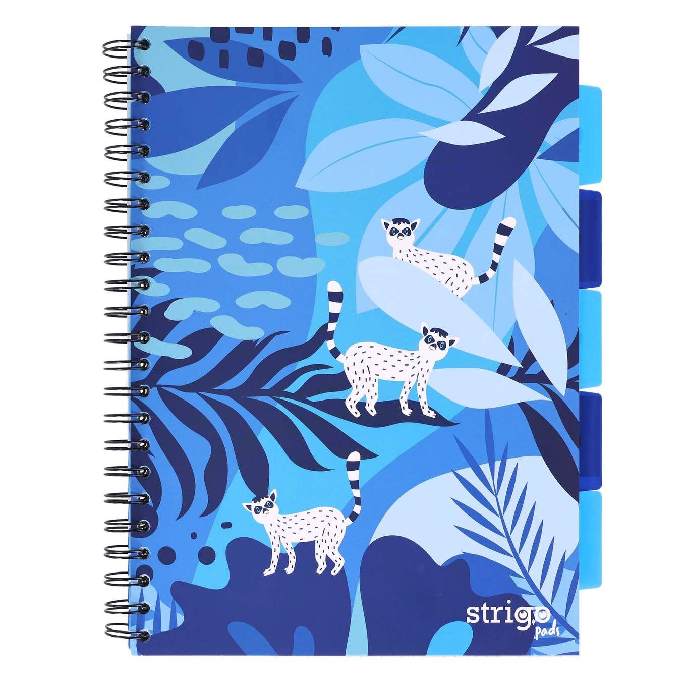 PADS035-5905658841829-01