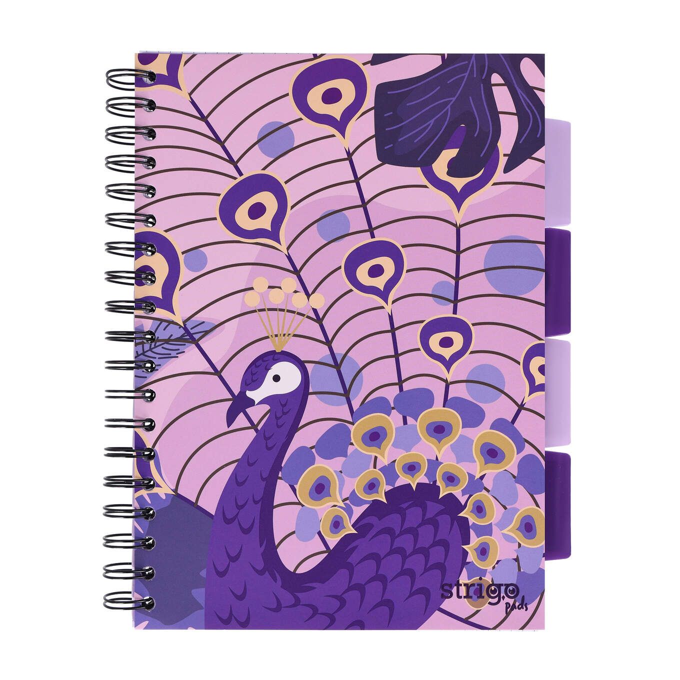 PADS041-5905658841935-01