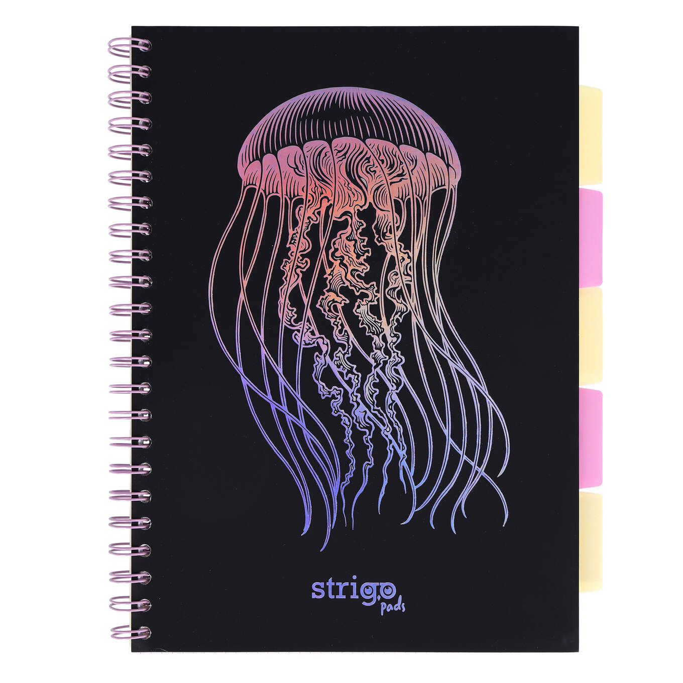 PADS049-5905658842147-01