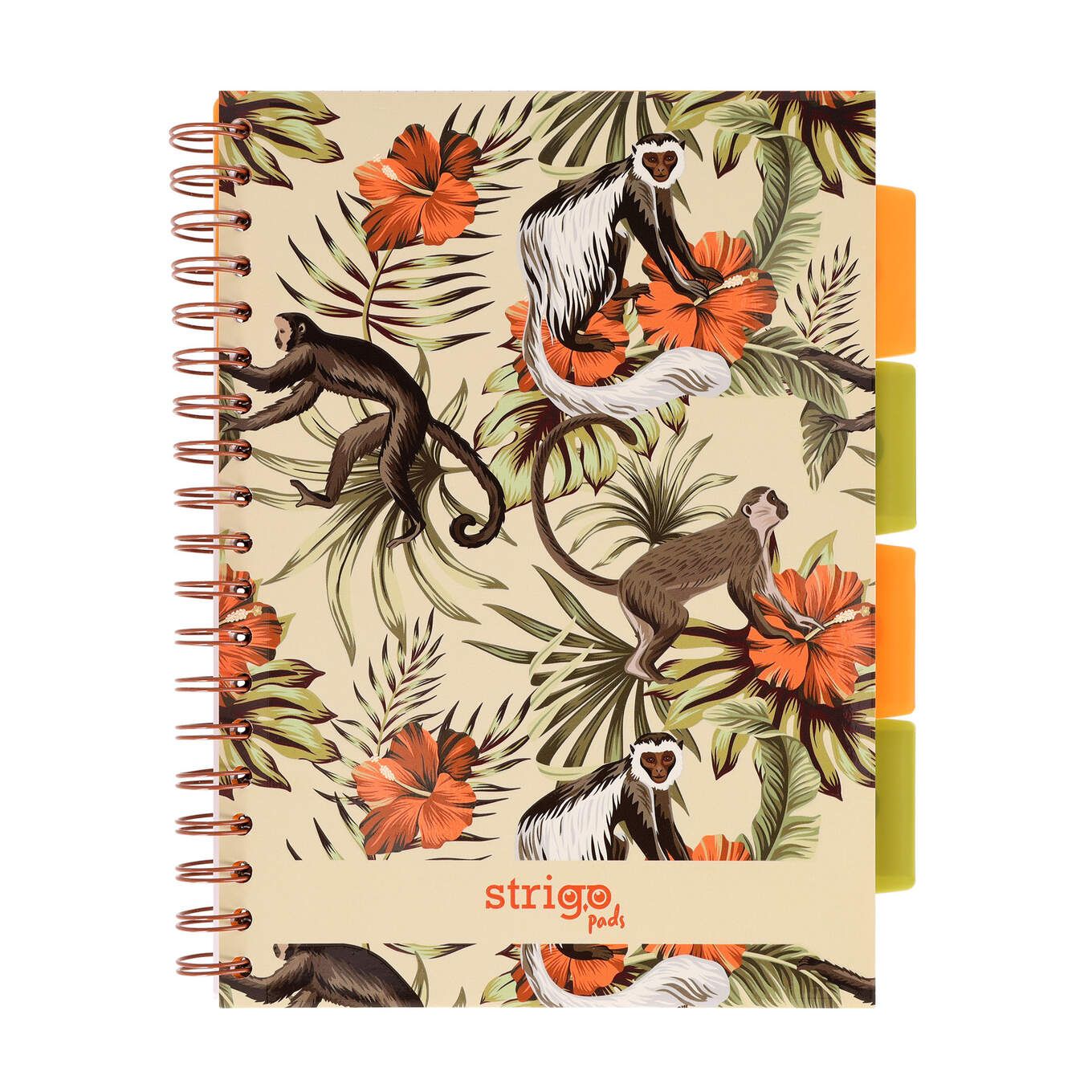 PADS065-5905658842505-01