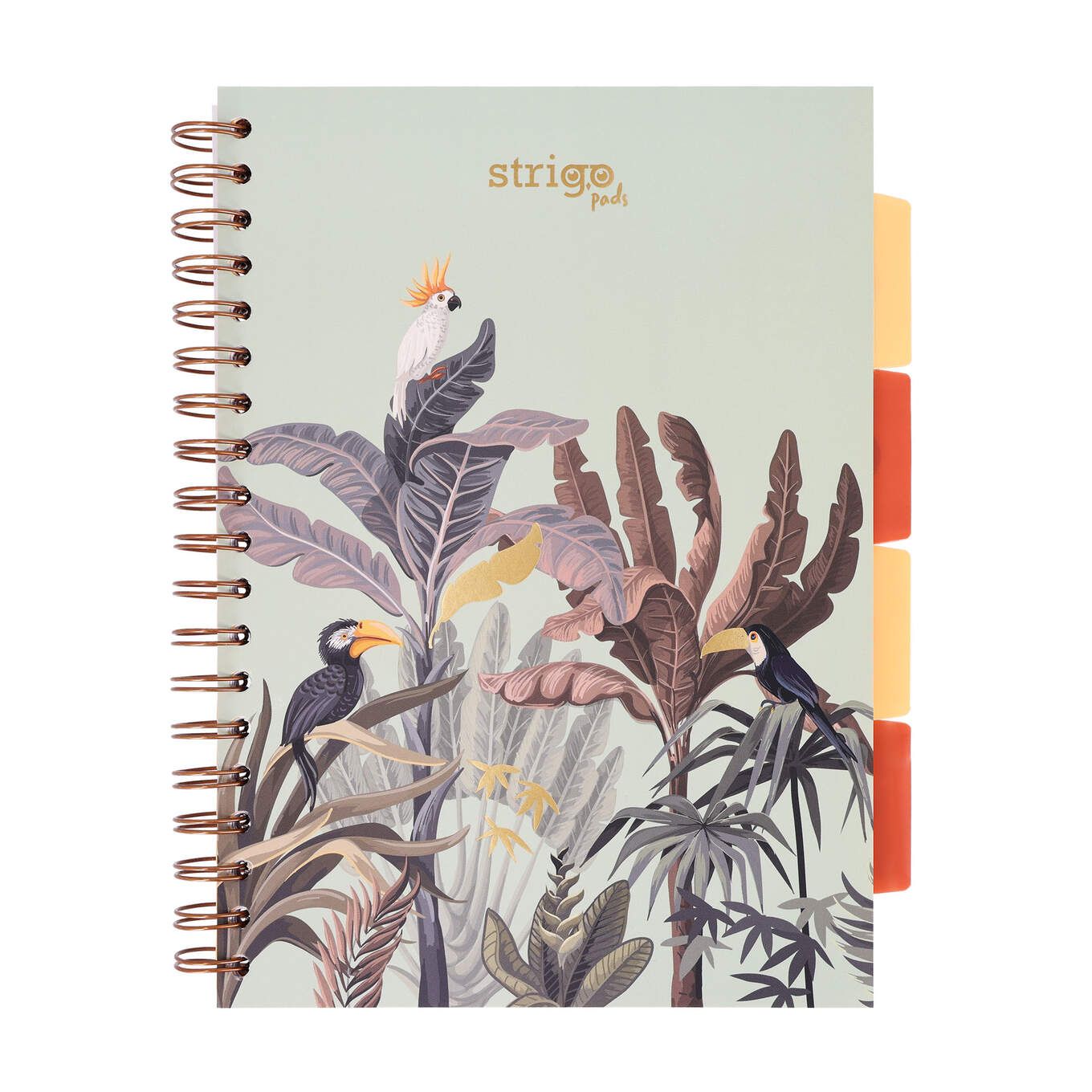 PADS069-5905658842628-01