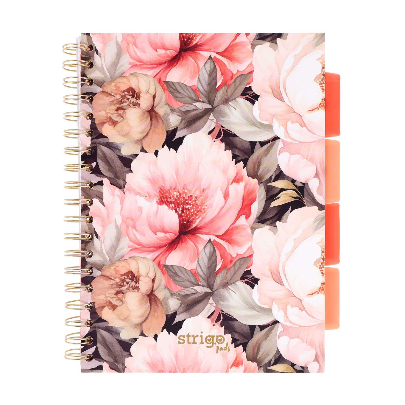 PADS079-5905658826895-01