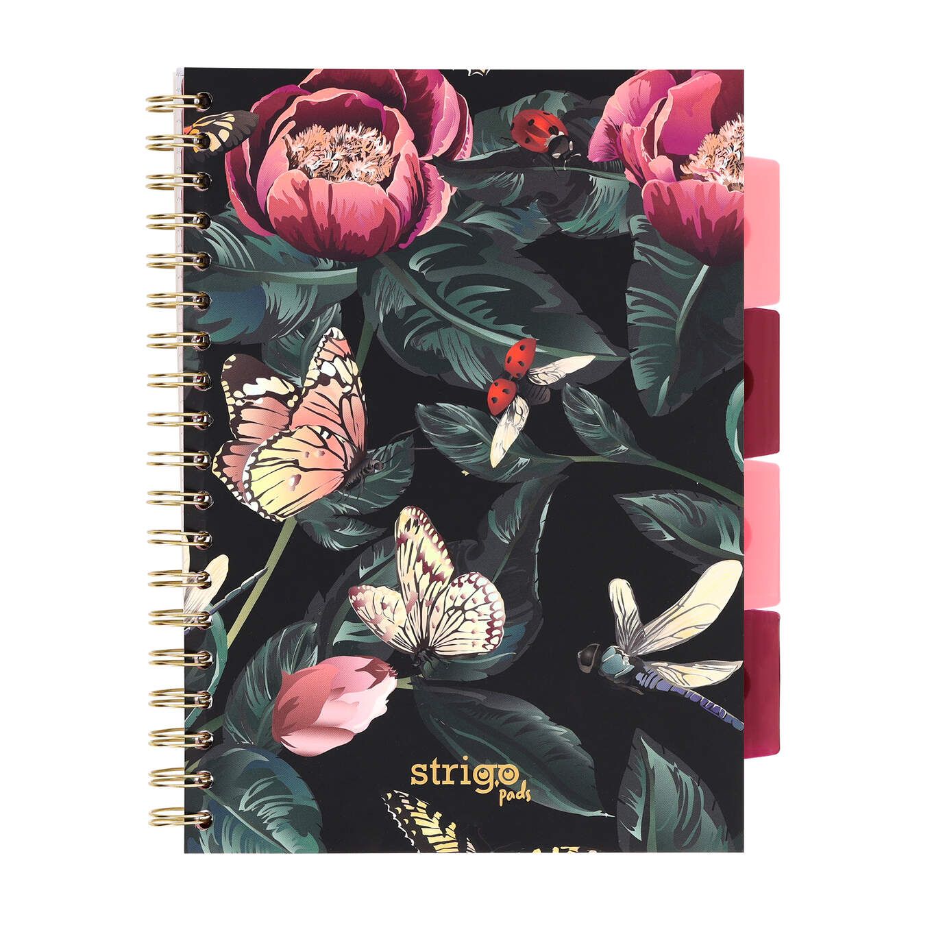 PADS080-5905658826901-01