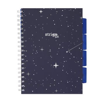 Kołozeszyt STRIGO PADS Project Book B5 kratka Kosmos